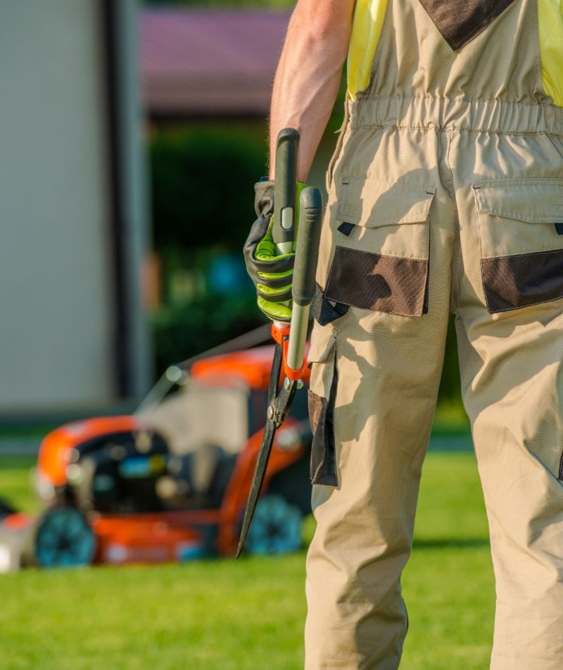 garden-is-my-mission-2025-03-13-13-30-43-utc (1)