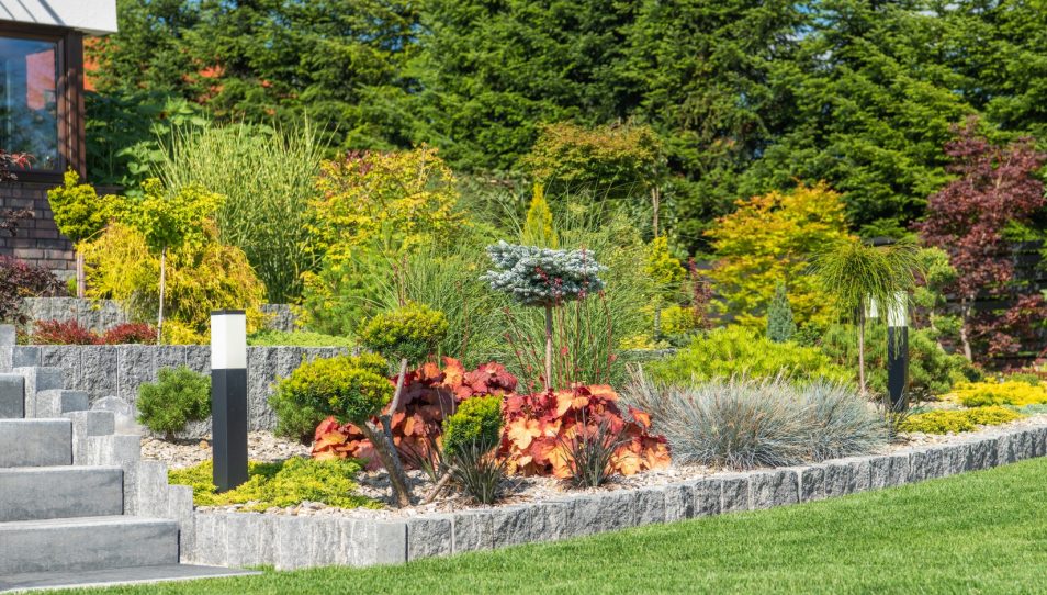 modern-rockery-garden-in-front-of-a-house-2025-03-15-02-41-01-utc